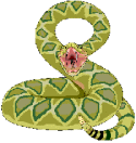 snake.gif